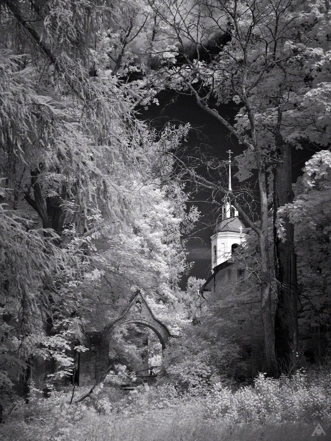 монастырь, череменец, Ольга Аристова