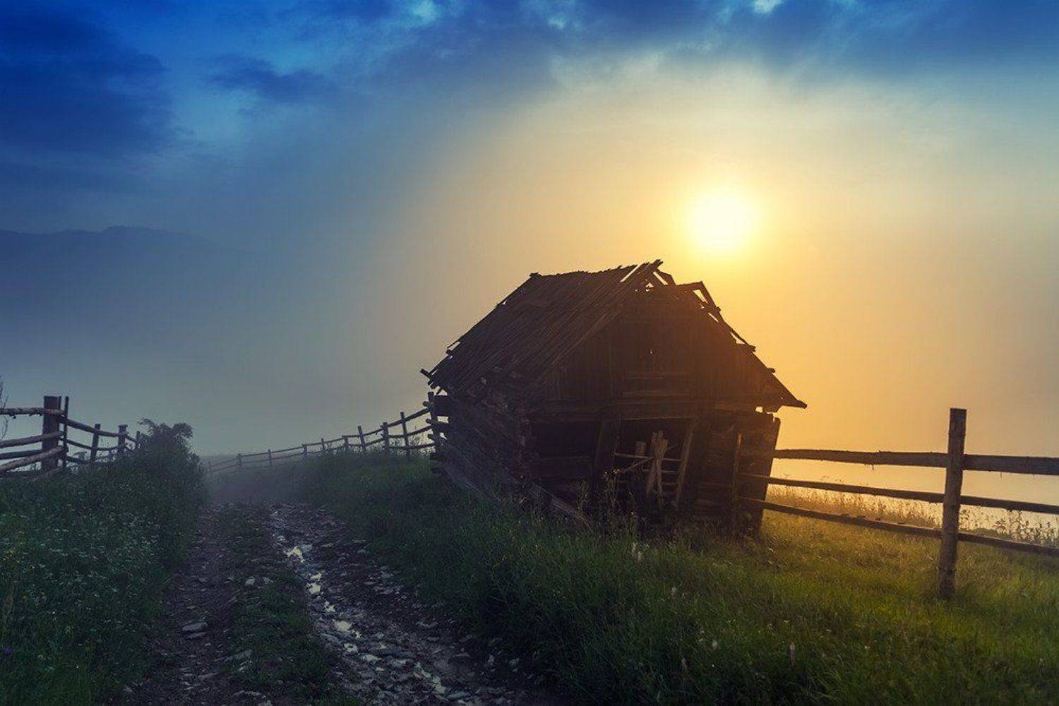 , Владимир Точаненко