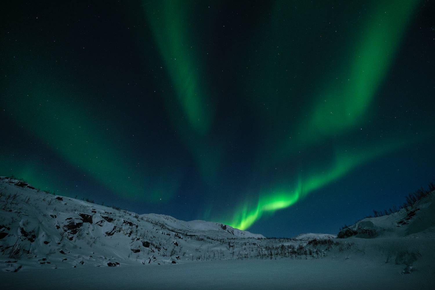 , Георгий Бычковский