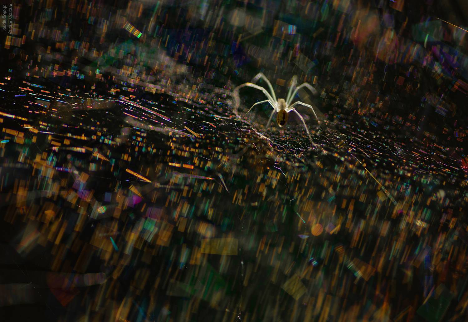 , Андреев Андрей