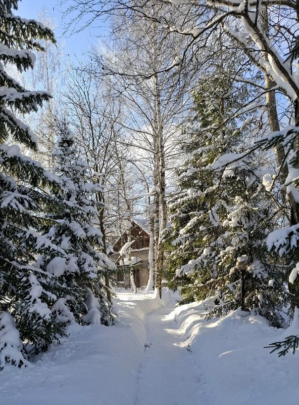 Зимняя сказка.... фото превью