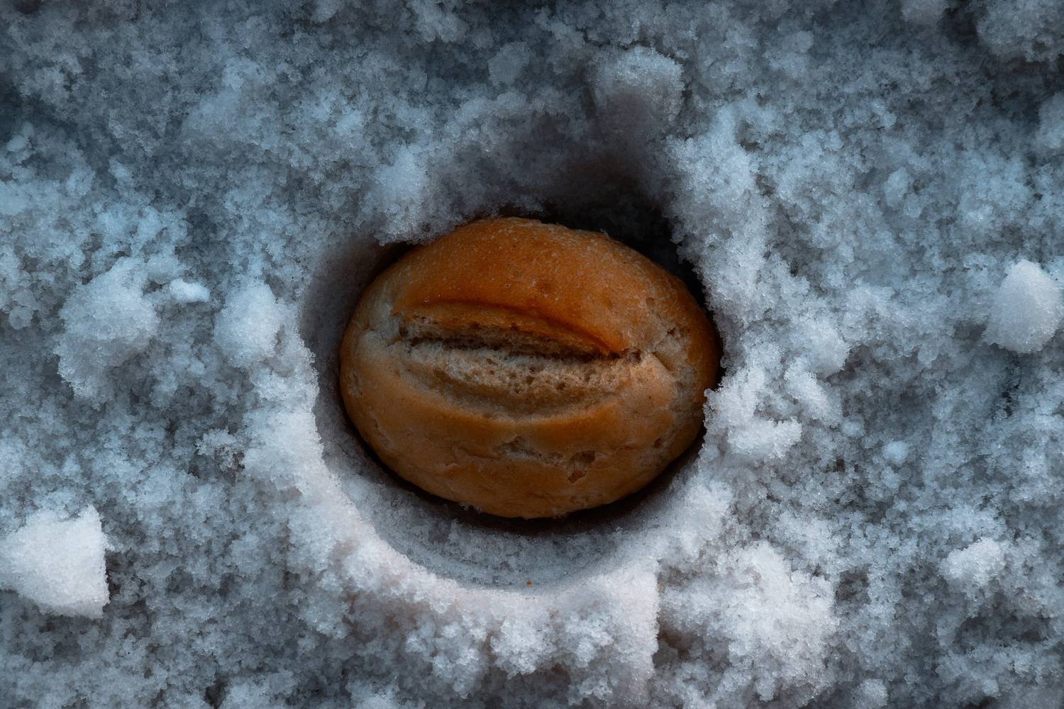 , Какоткин Роман