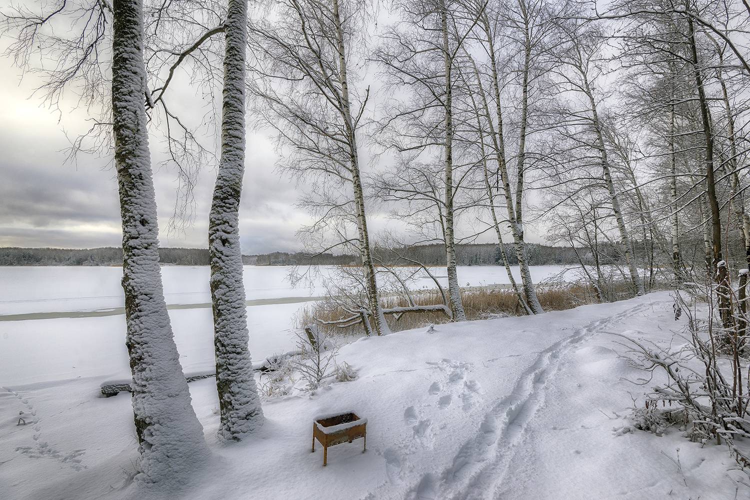 , Сергей Аникин