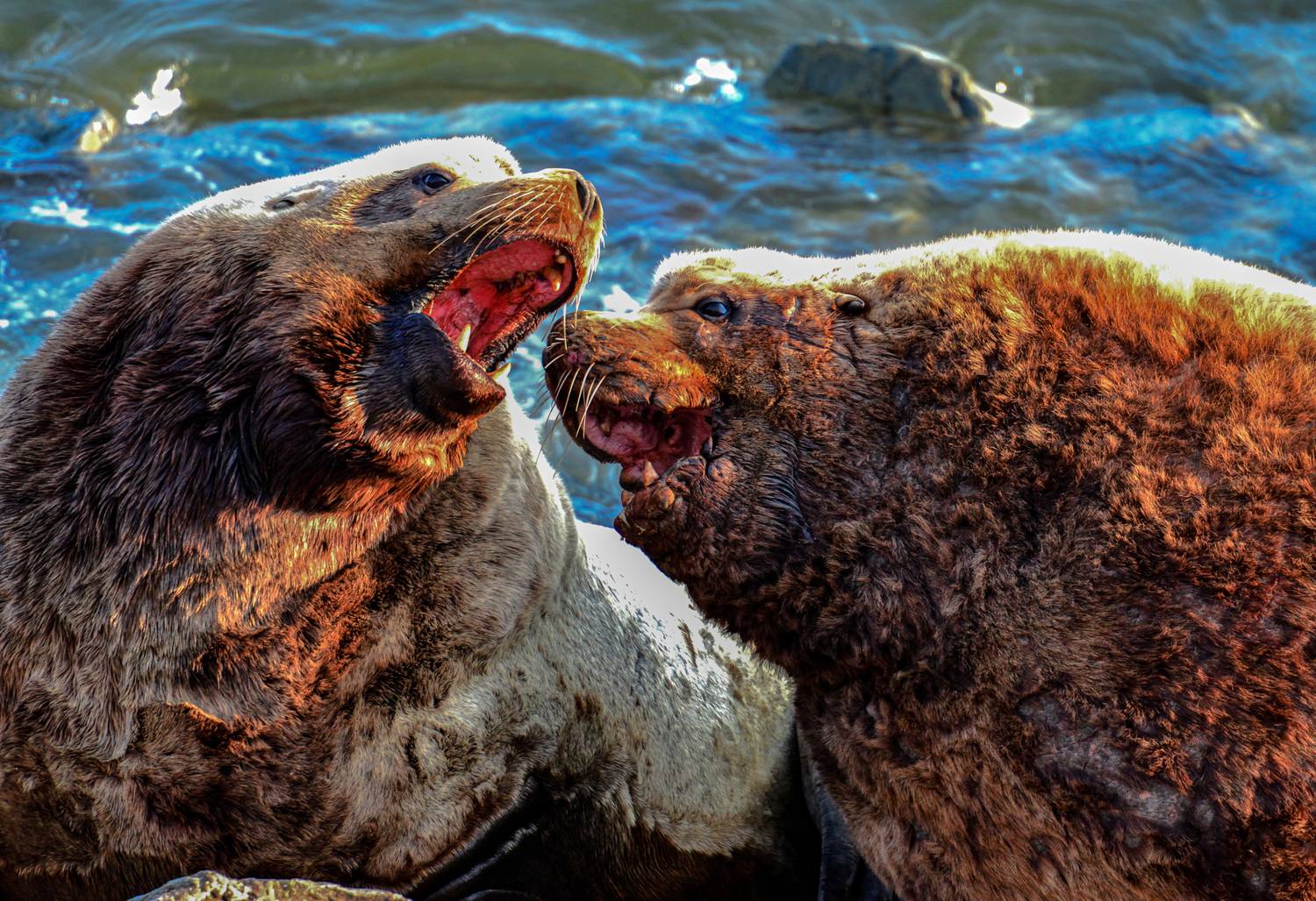 , Александр Мухин
