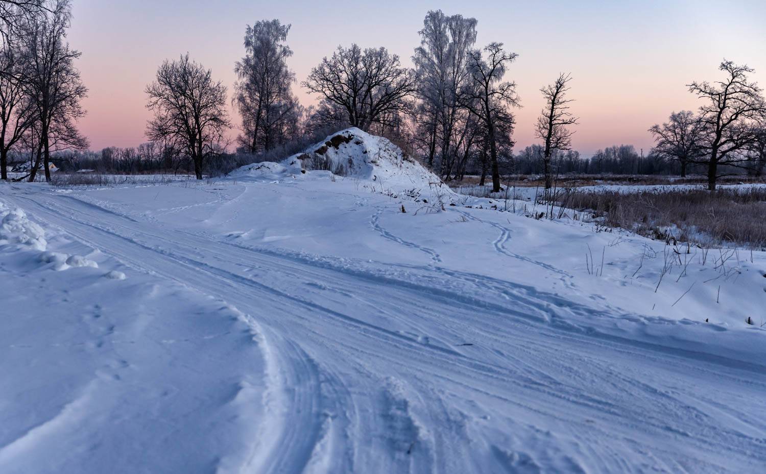 sauleziemakokiainava, Cielava Dace