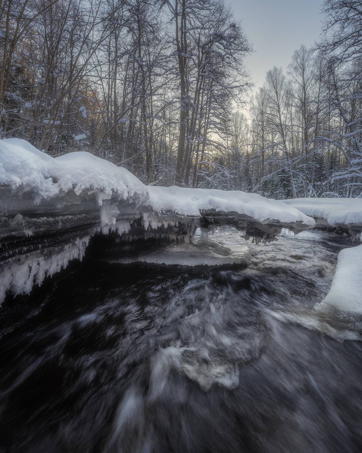 ленобласть, зима, речка, лес, Марголин Алексей