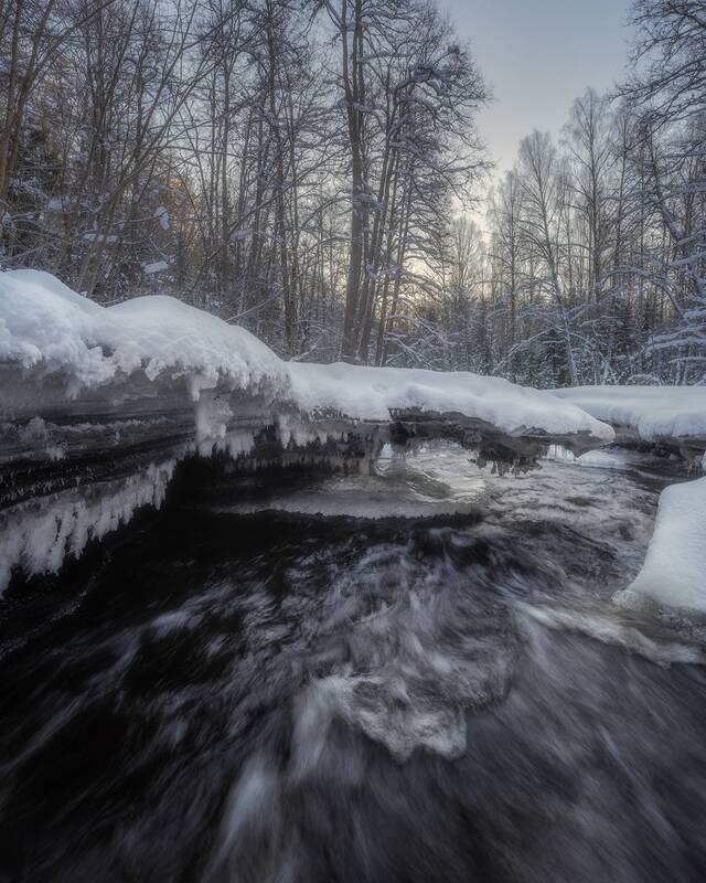 ленобласть, зима, речка, лес *** фото превью