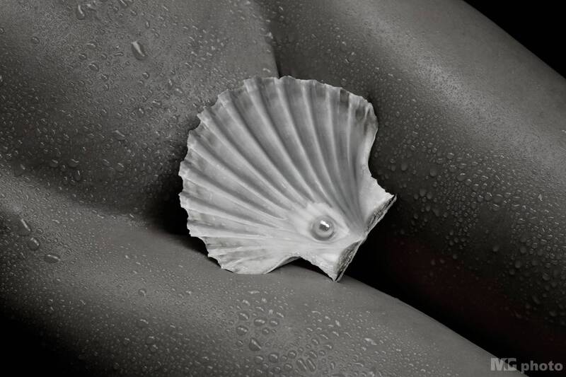 Body & shell #05 фото превью