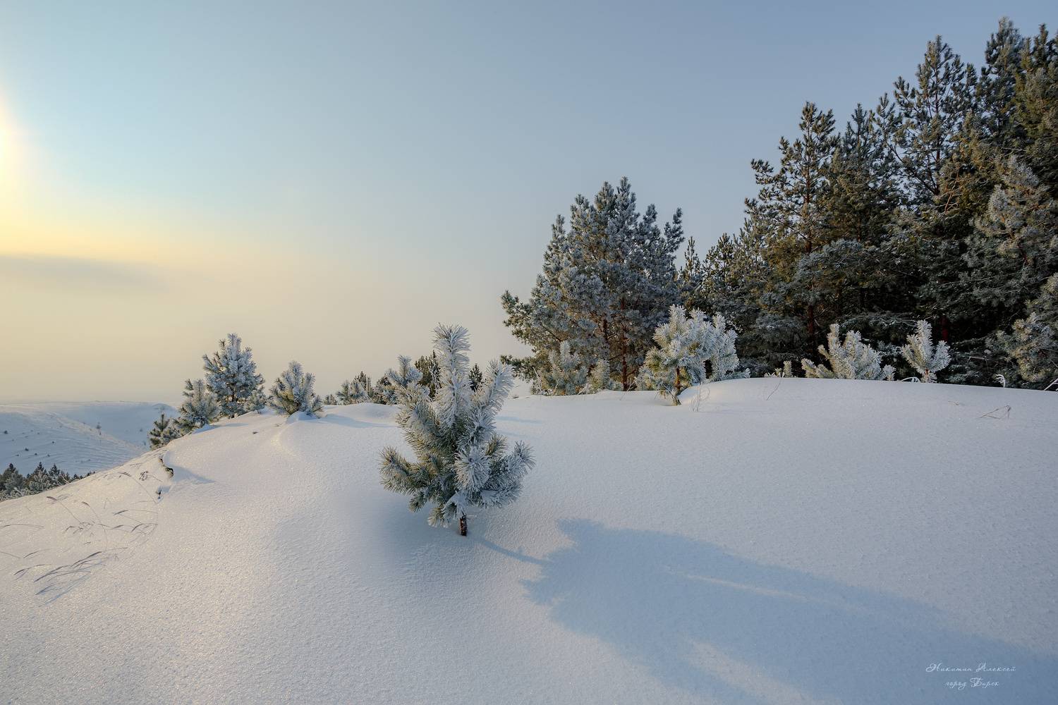 , Никитин Алексей