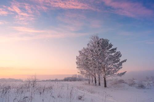 Зимние сумерки. / Winter twilight.