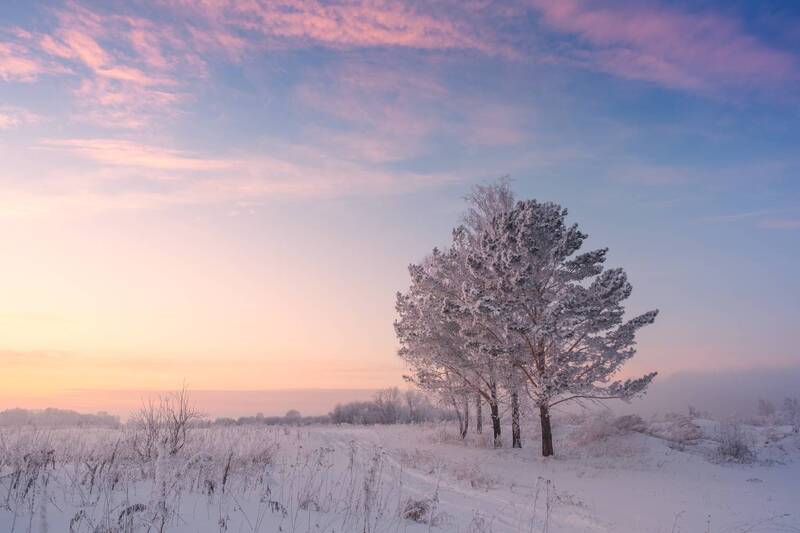 зима, снег, иней, закат, вечер Зимние сумерки. / Winter twilight. фото превью