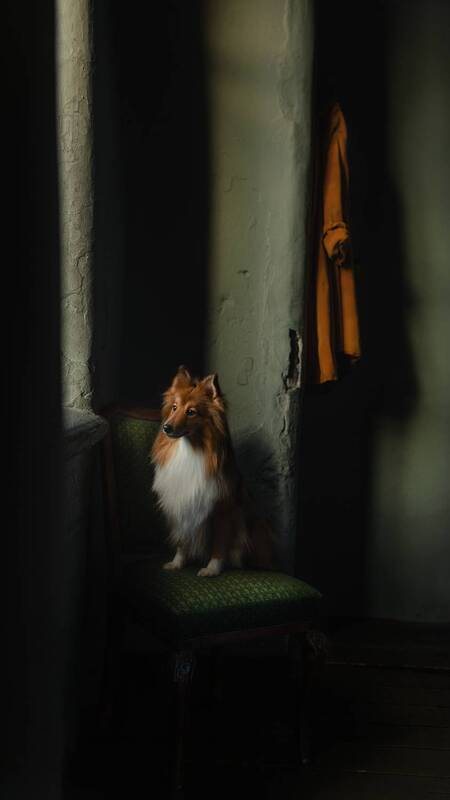 Черрри фото превью