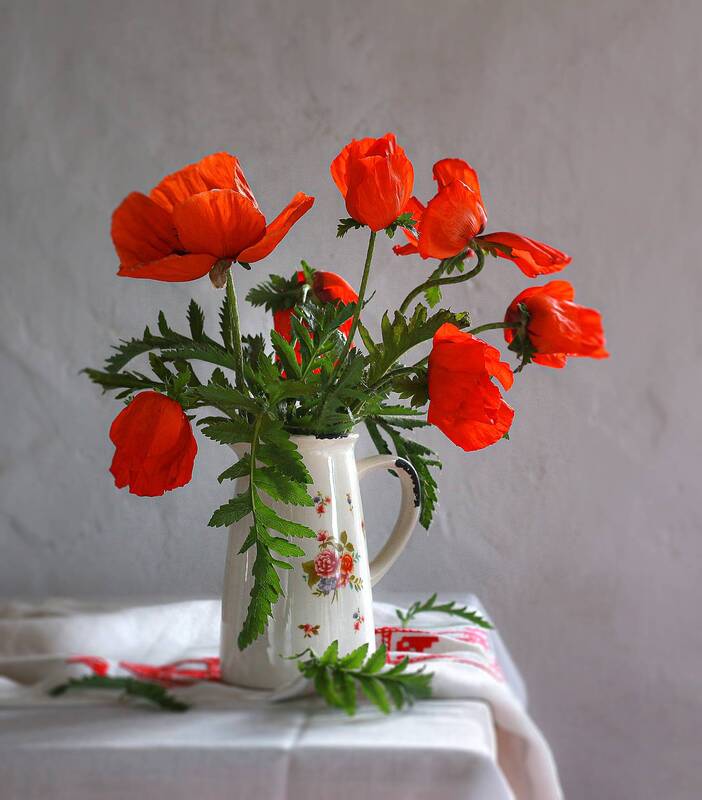 натюрморт, фотогатюрморт, лето, цветы, маки, цветочный натюрморт, наталья_казанцева Красное/зелёное фото превью