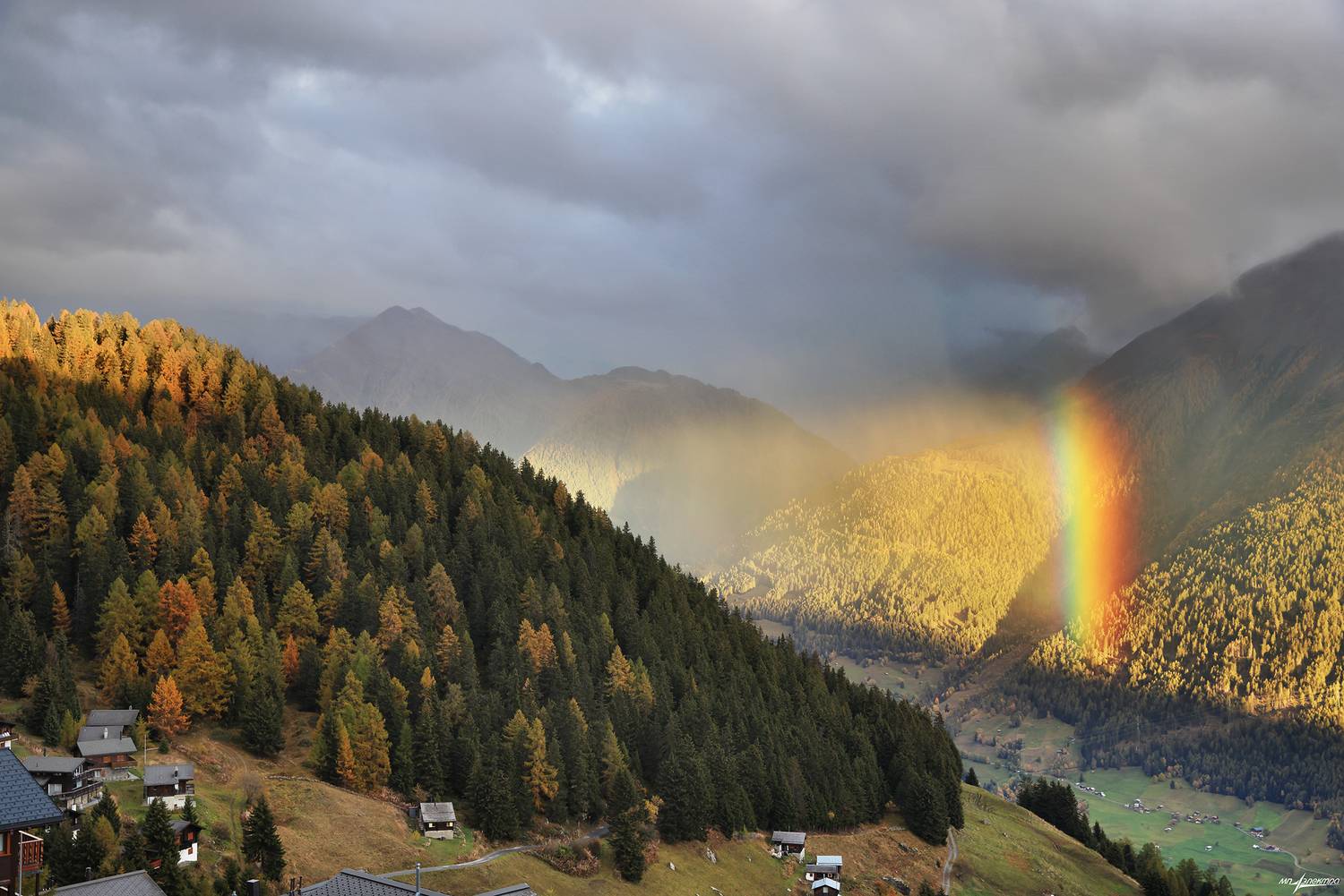 swiss, Матвеев Николай