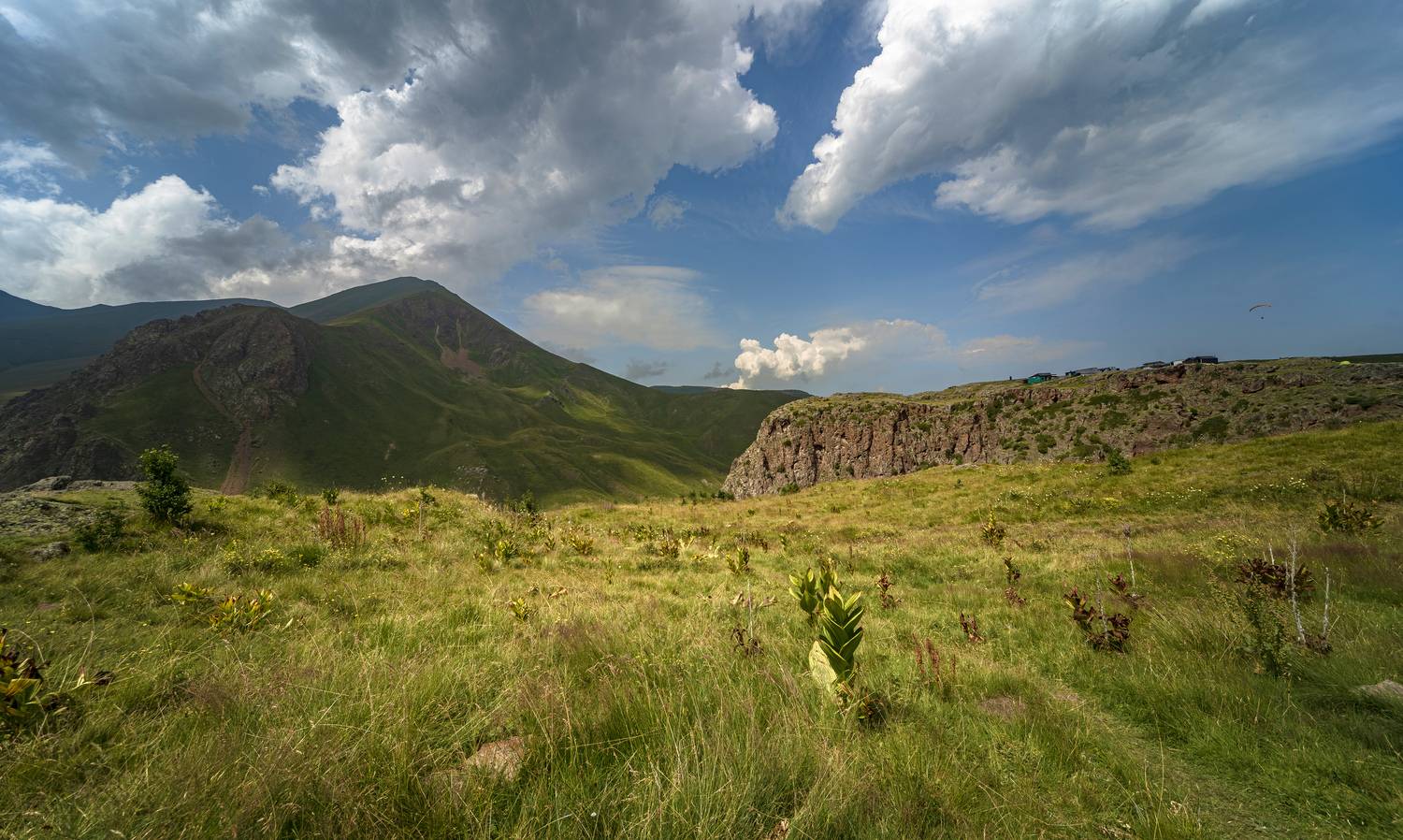 , Алексей Мякота