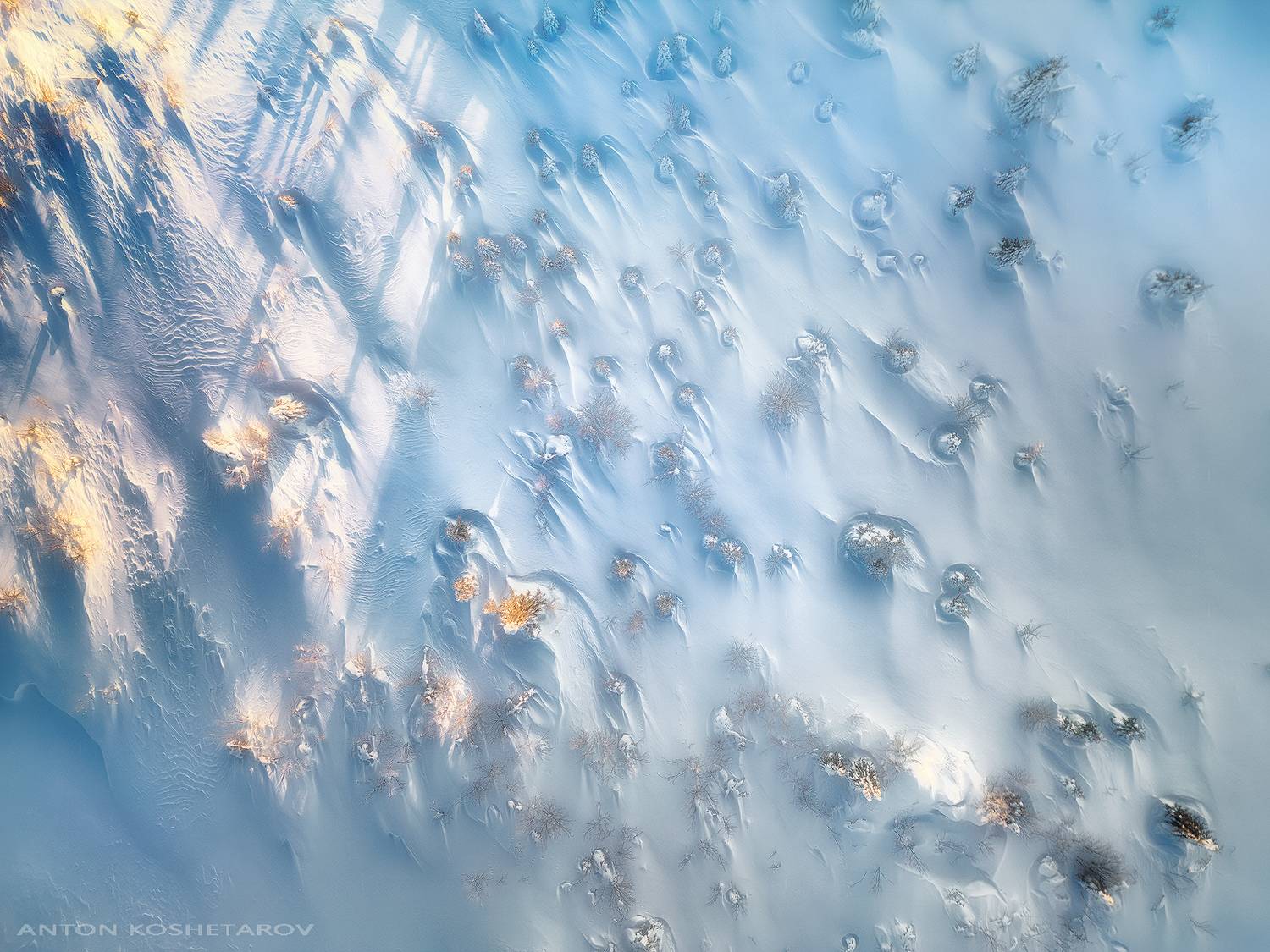 , Антон Кошетаров