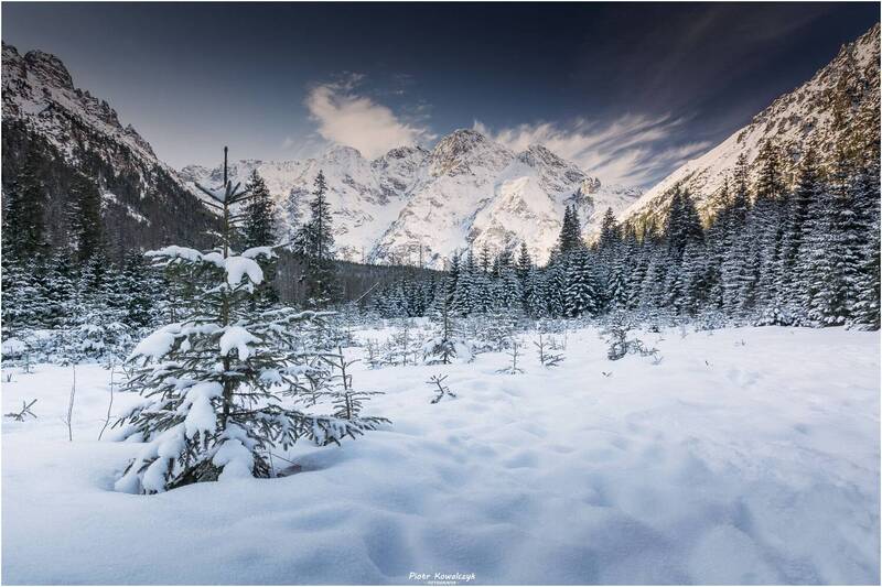 polska, tatry, góry, zima, las, śnieg *** фото превью