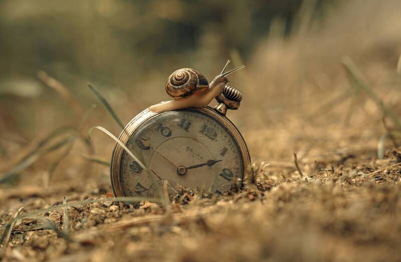 ... фото превью