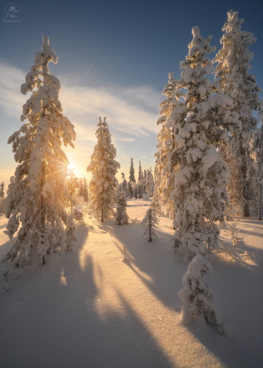 кольский, хибины, мурманская область, зимний лес, заполярье, тур на кольский, Гордиенко Анатолий