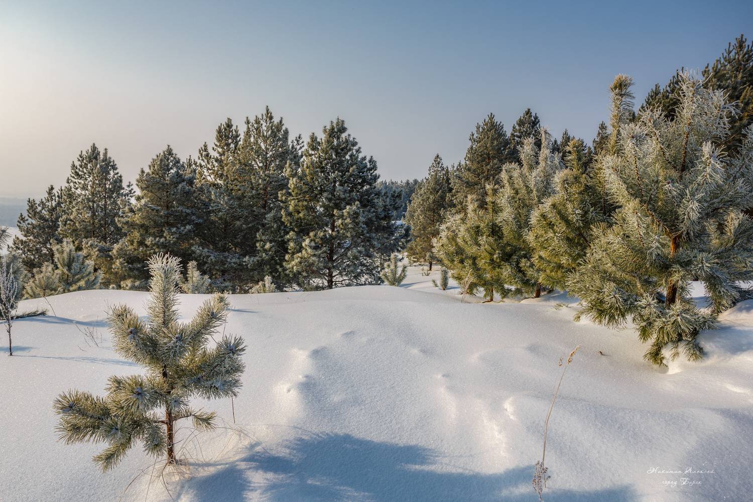 , Никитин Алексей