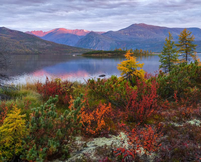 Фототуры с Владимиром Рябковым, topnature russpasibo magic_shots lov Осенний день. фото превью