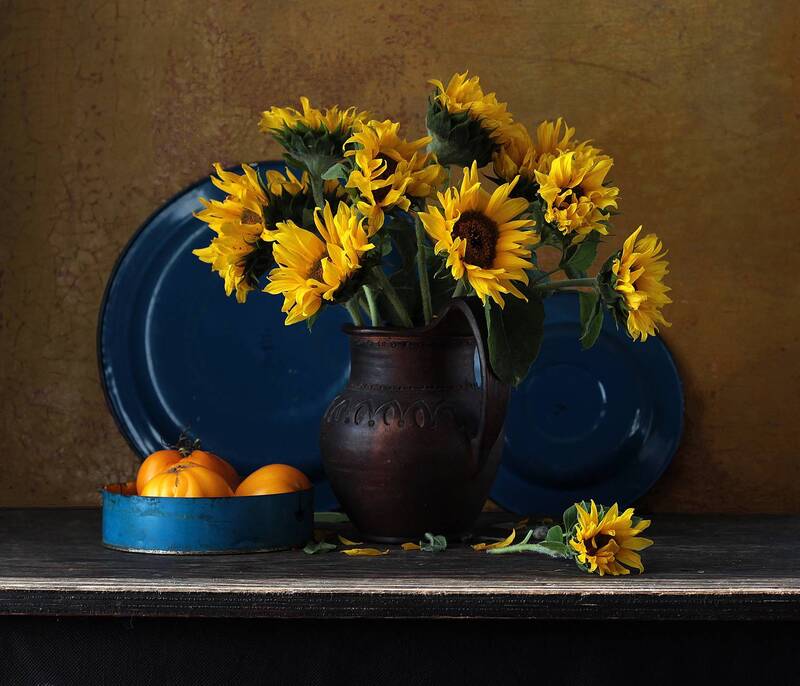 Ш фото превью