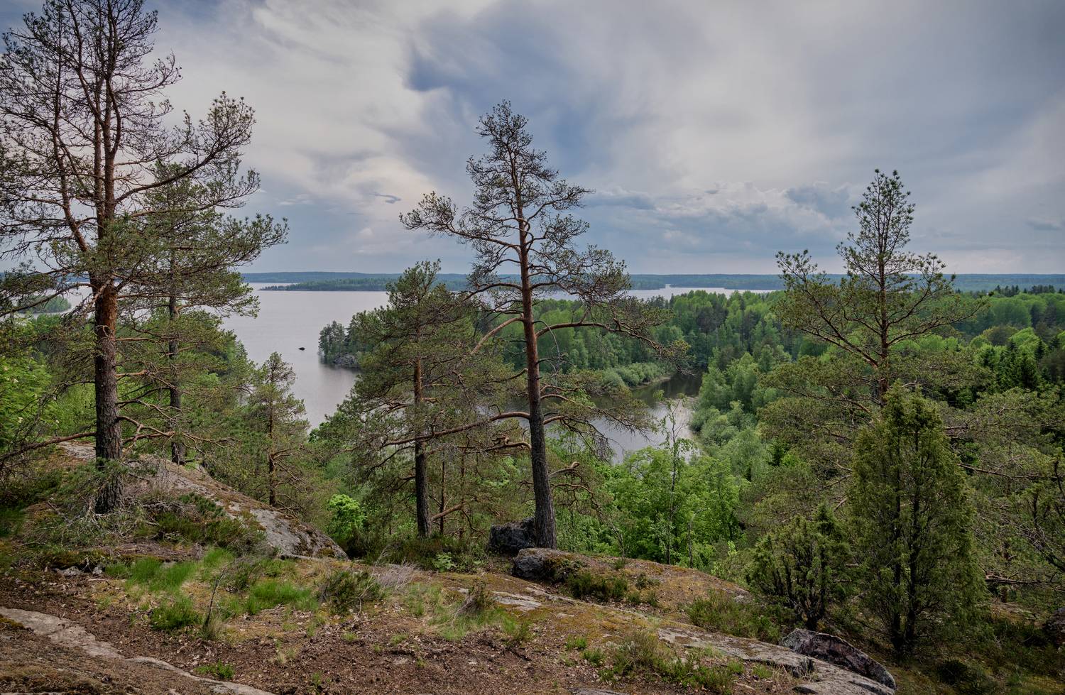 карелия., ладога., Тихонов Дмитрий