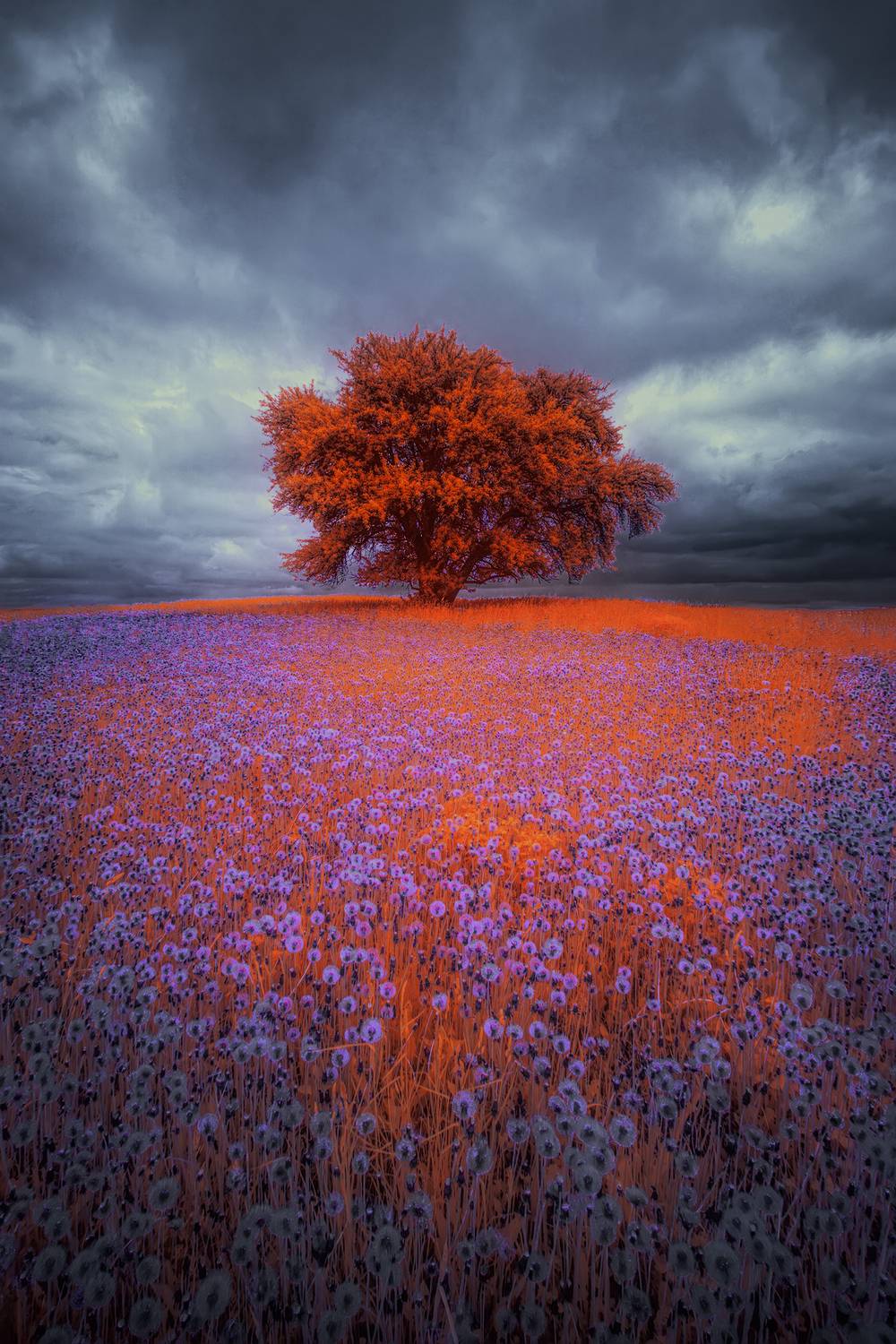 infrared, ик-фотография, инфракрасная фотография, пейзаж, весна, ик-фото,  Sixten (Сергей)