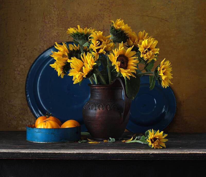 Ш фото превью