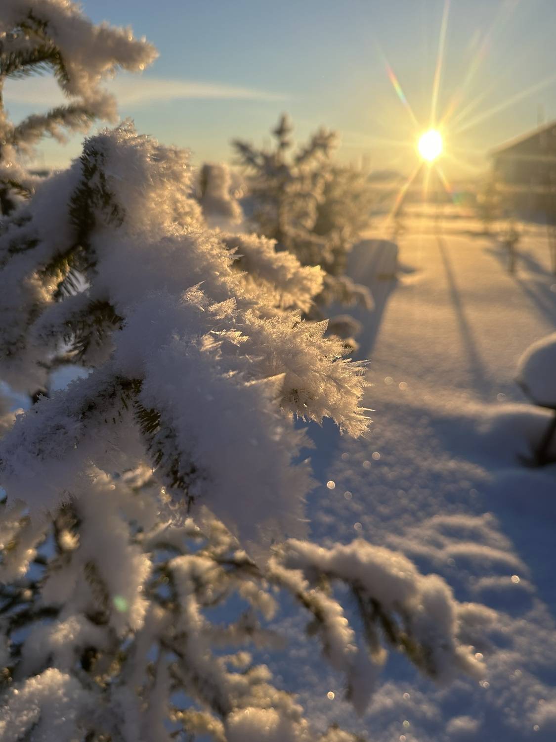 , Олег Сторожев