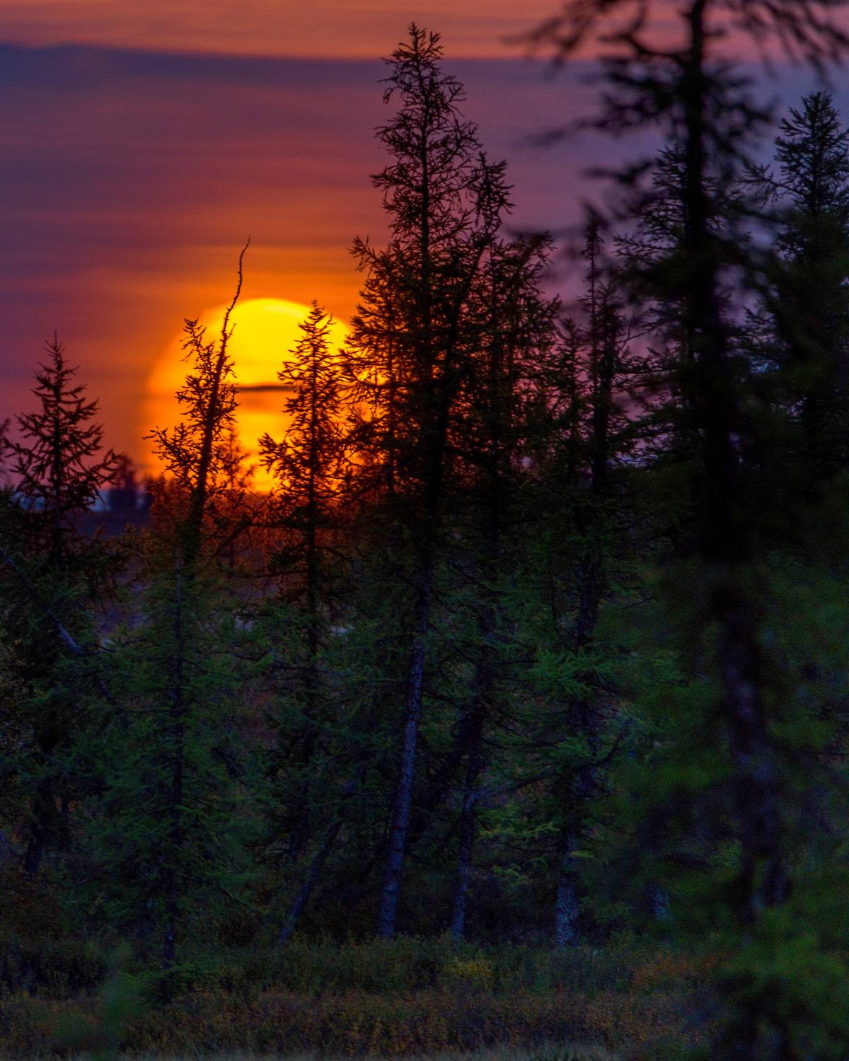 , Олег Сторожев