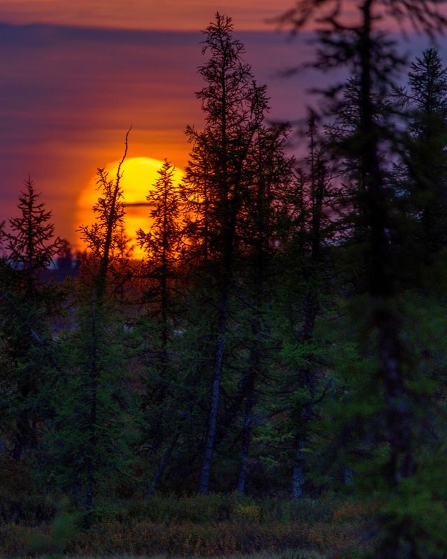 Moon фото превью