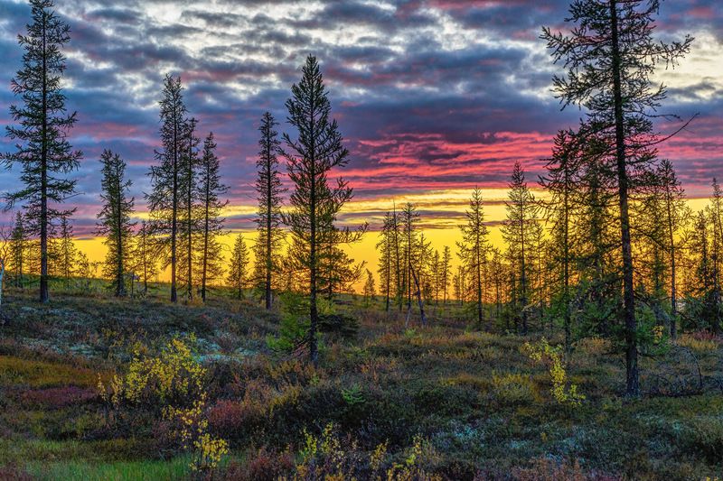 Краски осени фото превью