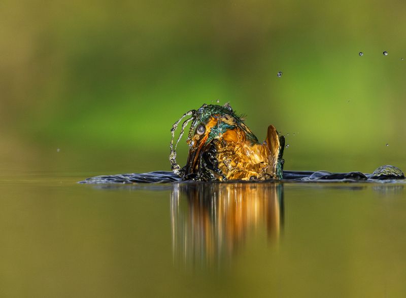 Abstract фото превью