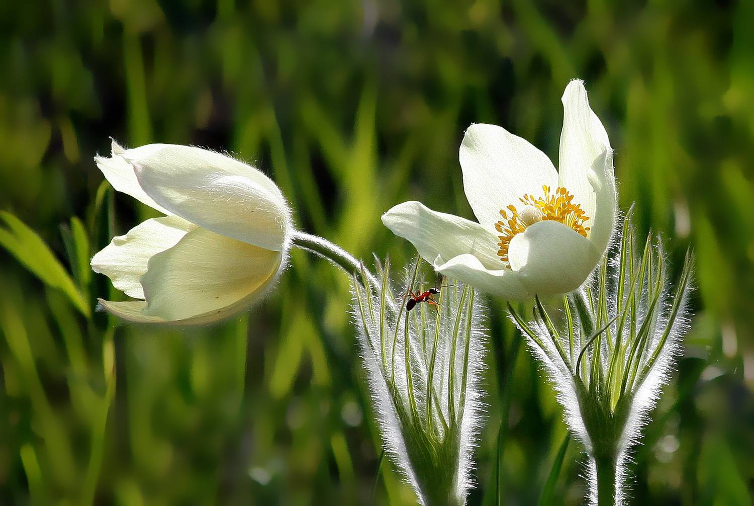 , Ушаков Валерий