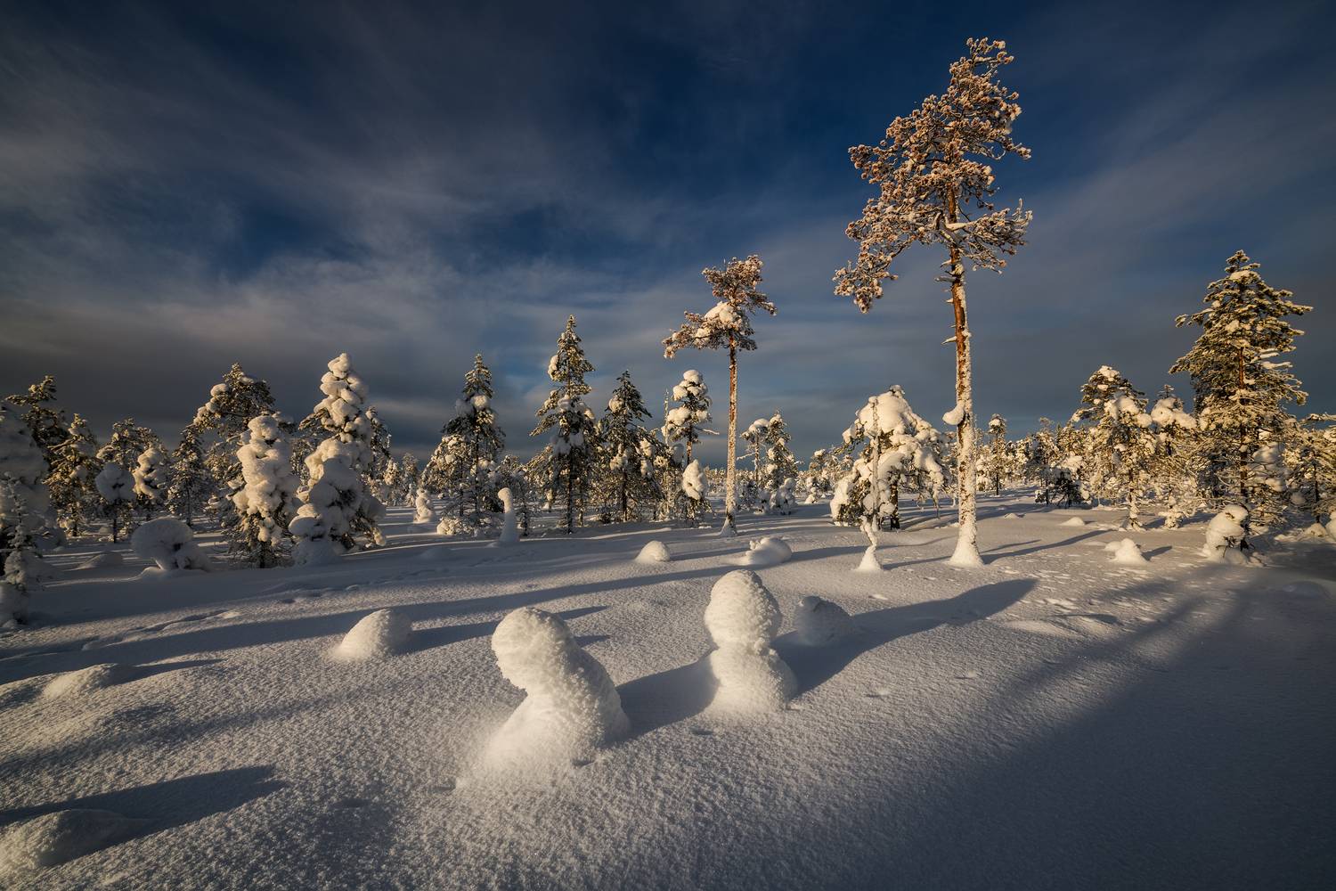 карелия, юолото, болота, Евдокимов Максим
