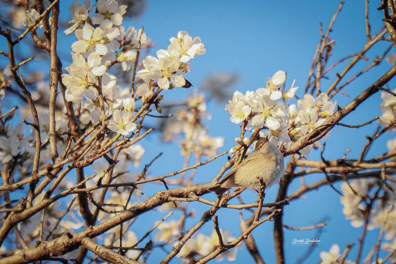 Spring time! фото превью