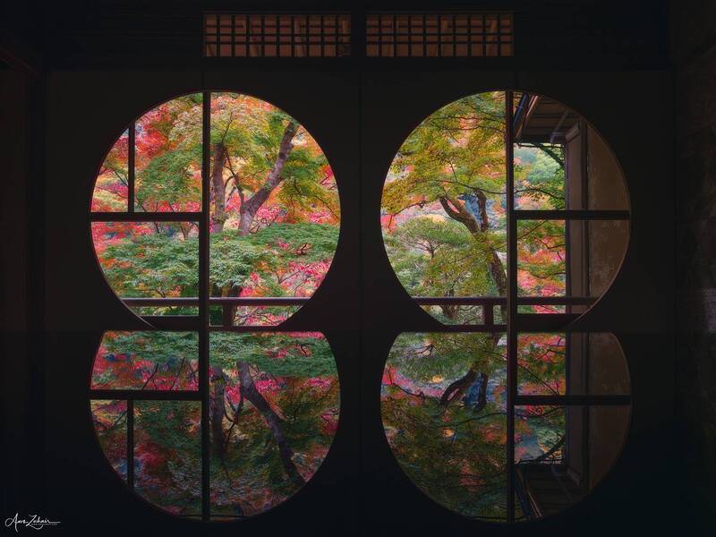 autumn, japan, kyoto, tea house, travel, photography, nature, landscape Japanese Tea House фото превью