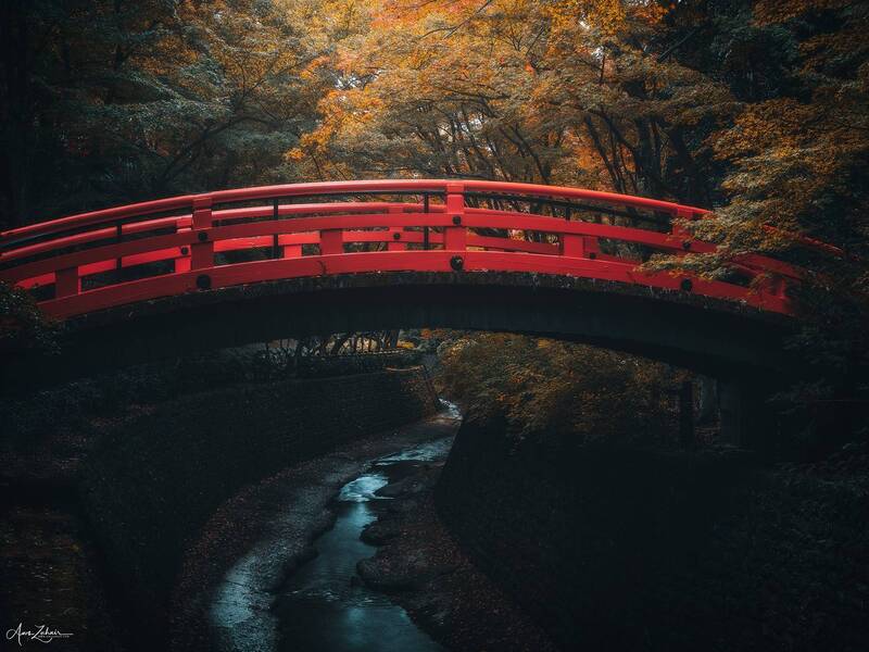 japan, bridge, kyoto, travel, landscape, nature, light, photography The Curve фото превью