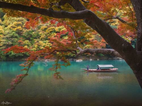 Autumn Vibe