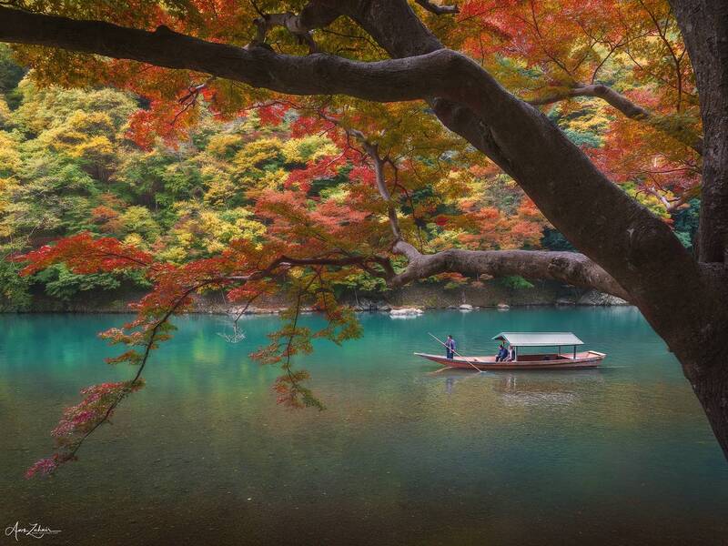 japan, kyoto, river, water, tree, autumn, travel, landscape, nature, photography Autumn Vibe фото превью
