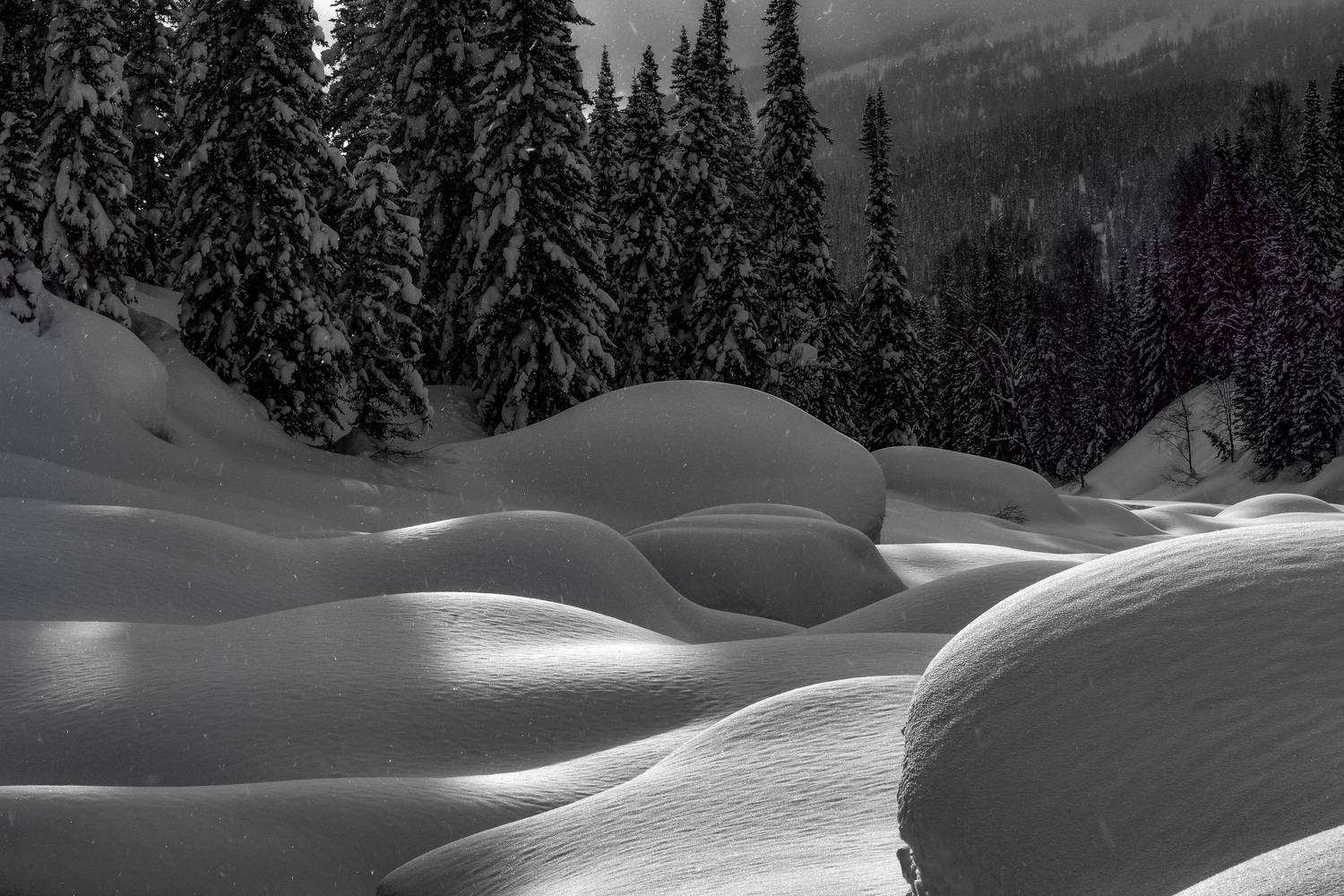 хакасия, кузнецкий алатау, зима, снег, сугробы, свет, ёли, Вячеслав Холзаков