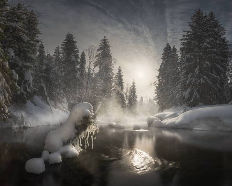 Снежная сороконожка фото превью