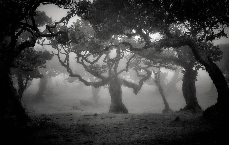 Волшебство Португалии... фото превью