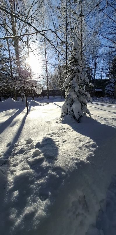 На контрасте.... фото превью