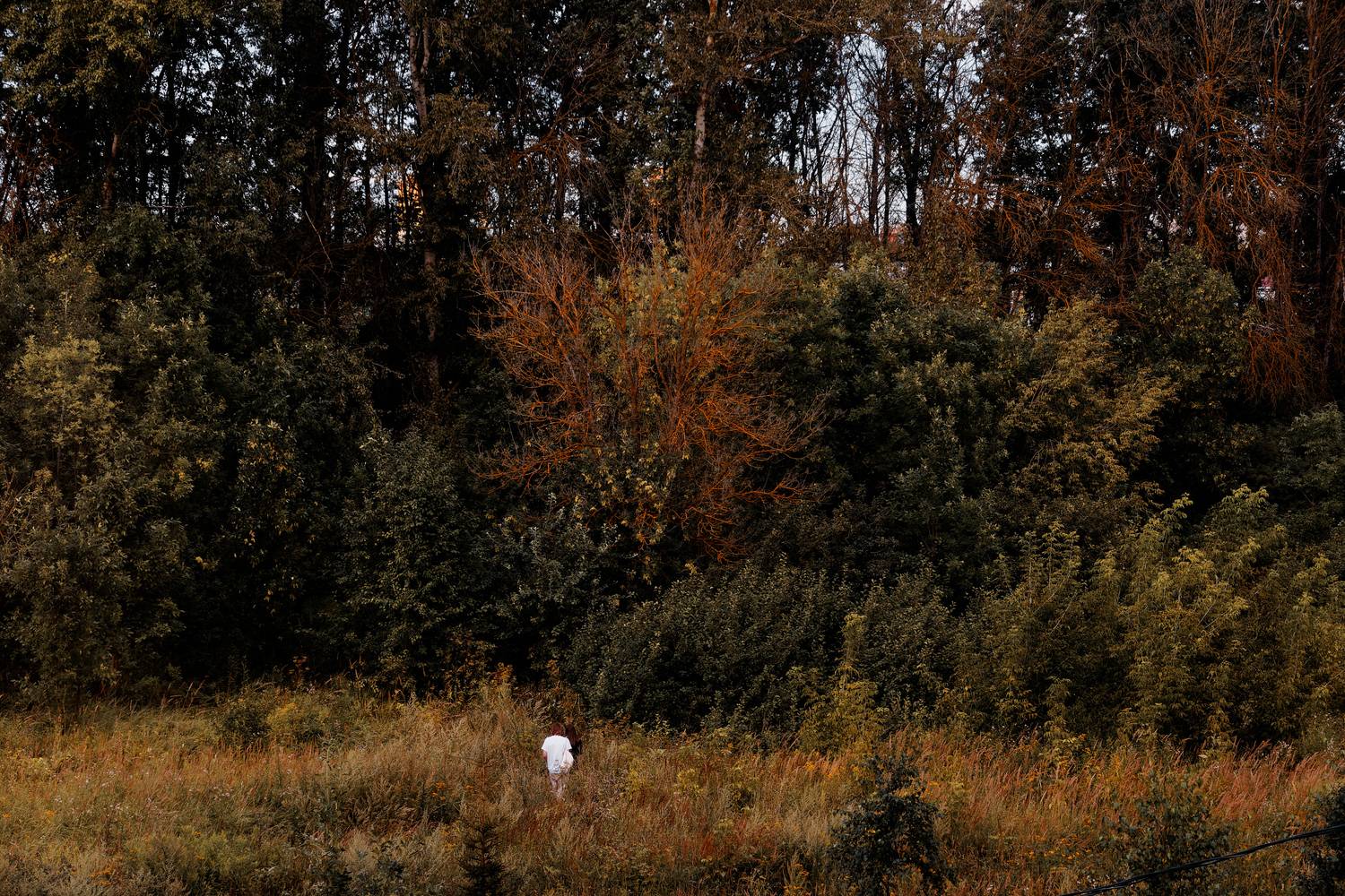 , Какоткин Роман