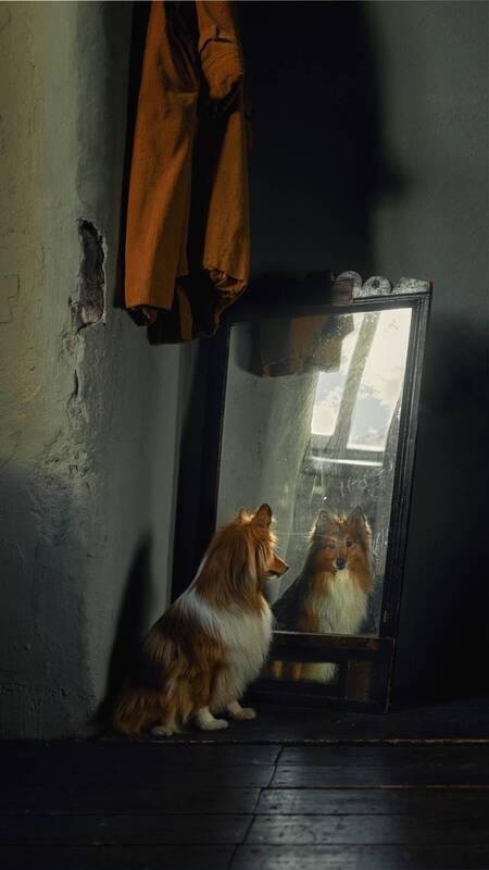 фото превью