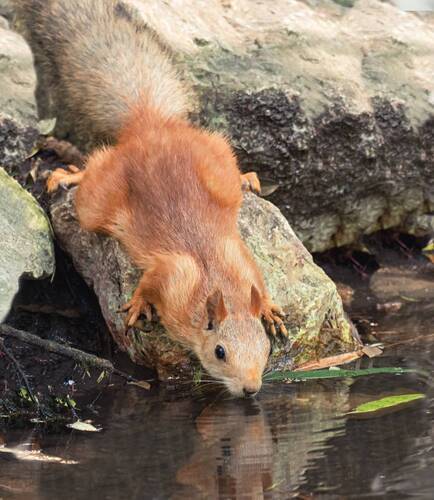 Жажда - это всё..