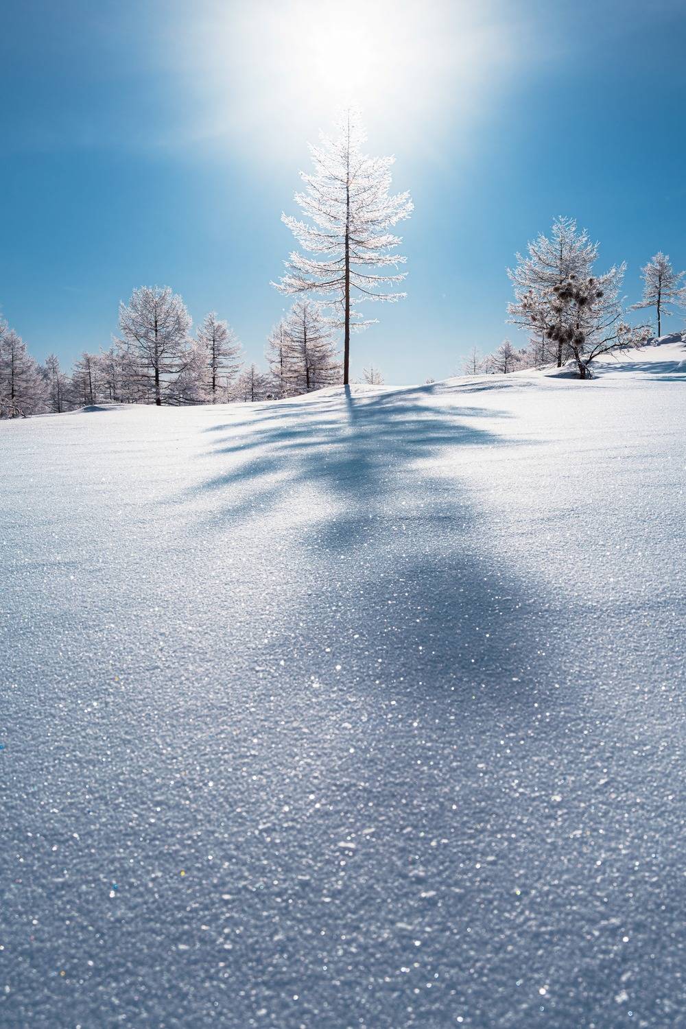 , Антон Сидоров