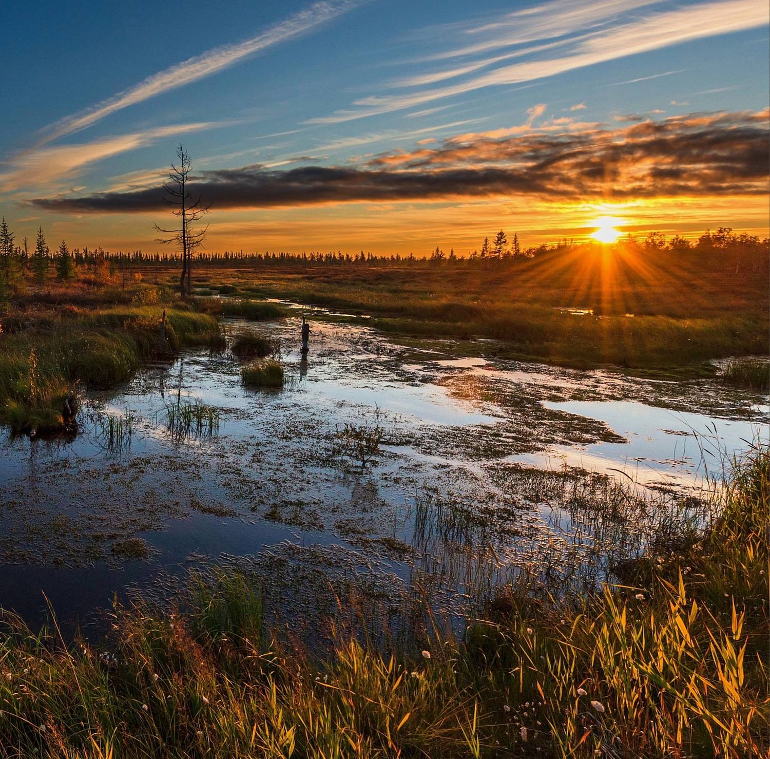 , Олег Сторожев